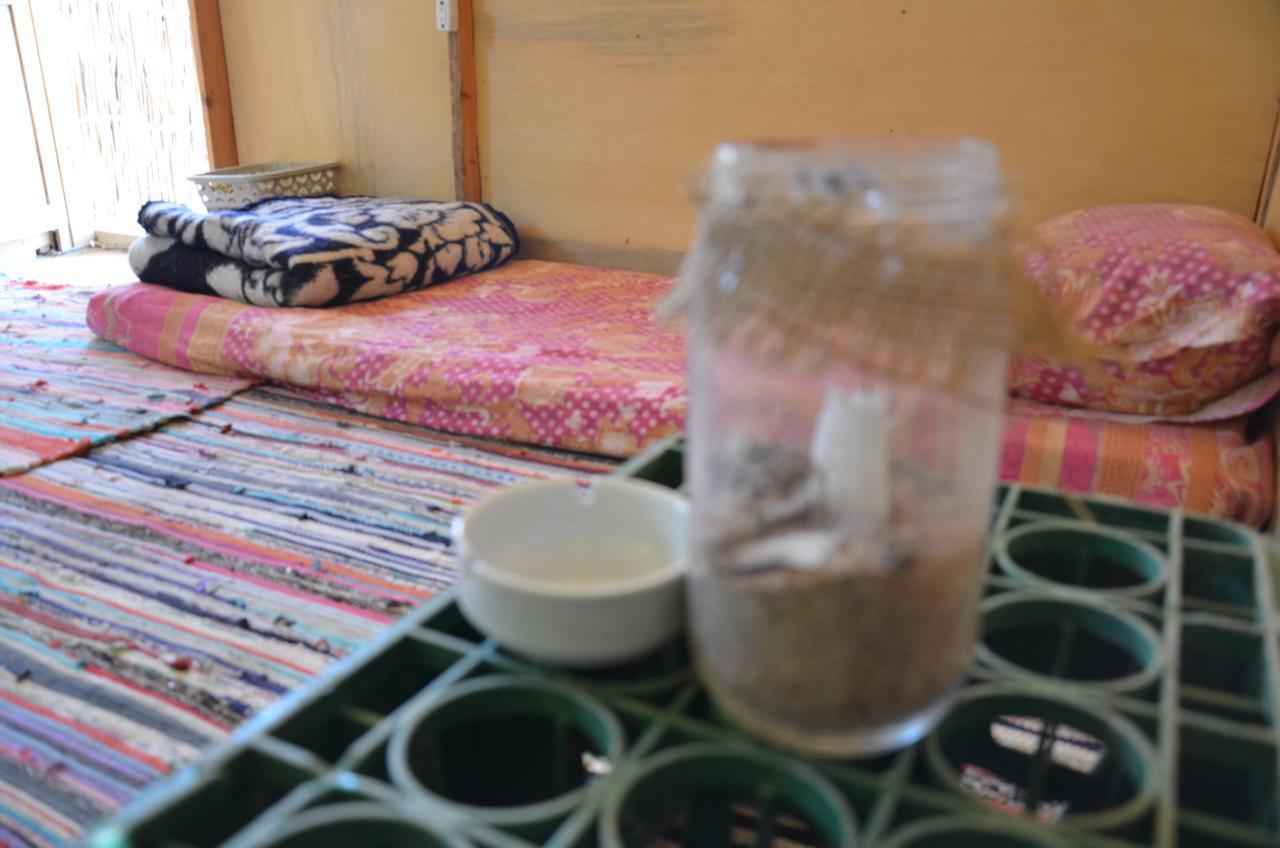Hotel Sakratah Camp - Eco Friendly Taba Esterno foto